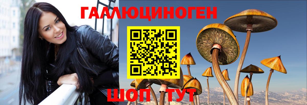 Галлюциногенные грибы мицелий  Берёзовский 