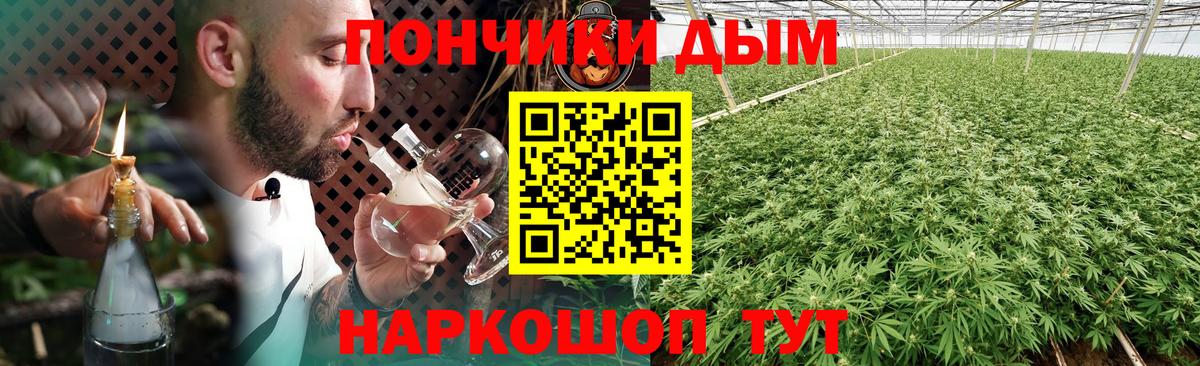 Бошки Шишки гибрид Берёзовский